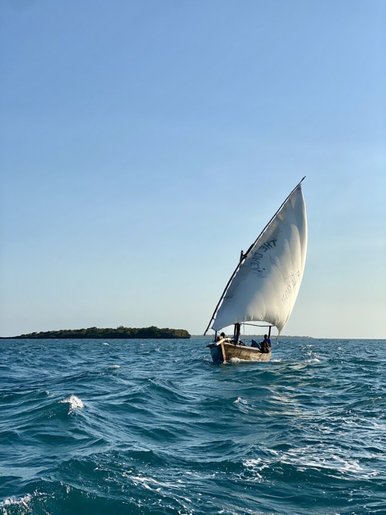 Zanzibar Diving (3)