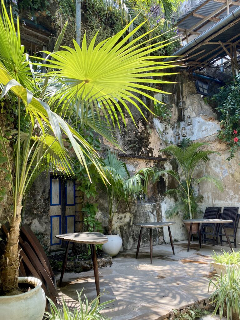 Zanzibar Secret Garden (2)