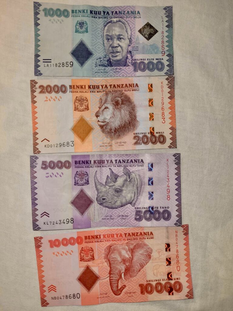 Zanzibar valuta